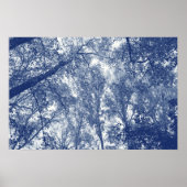 Blauwe herfst - Cyanotype-effect Poster (Voorkant)