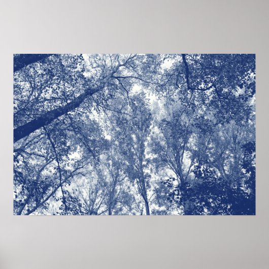 Blauwe herfst - Cyanotype-effect Poster (Voorkant)