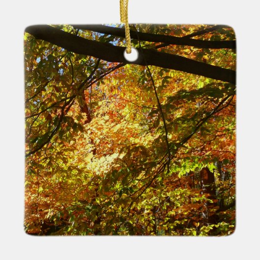 Blauwe herfst Natuur Keramisch Ornament (Voorkant)