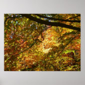 Blauwe herfst Natuur Poster (Voorkant)