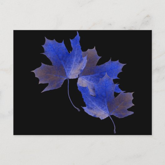 Blauwe herfstbladeren briefkaart (Voorkant)