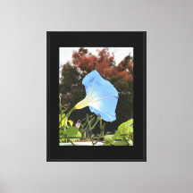 Blauwe Herfstslinger