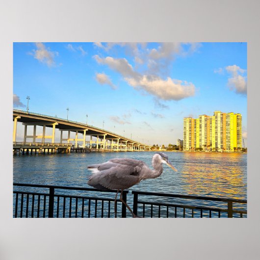 Blauwe Heron Brug. Riviera Beach. Florida Poster (Voorkant)