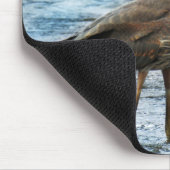 Blauwe Heron in blauw water Muismat (Hoek)