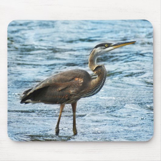 Blauwe Heron in blauw water Muismat (Voorkant)
