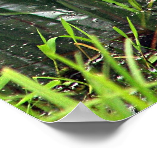 Blauwe Heron in de krant Reeds Poster (Hoek)