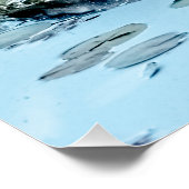 Blauwe Heron, op diner tussen de lievendpads Perfect Poster (Hoek)