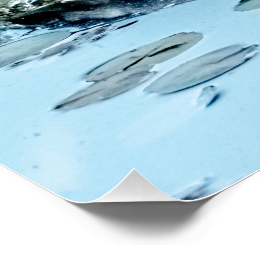 Blauwe Heron, op diner tussen de lievendpads Perfect Poster (Hoek)