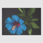 Blauwe hibiscus bloem op zwart, decoupage tissuepapier (Voorkant)