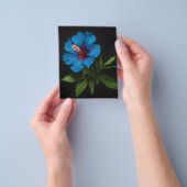 Blauwe hibiscus bloem op zwart, flyer (Hand)