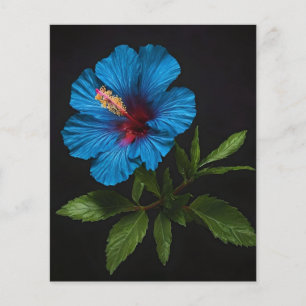 Blauwe hibiscus bloem op zwart, flyer