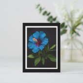 Blauwe Hibiscusbloem Op Zwart,  Briefkaart (Staand voorkant)