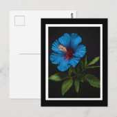 Blauwe Hibiscusbloem Op Zwart,  Briefkaart (Voorkant / Achterkant)
