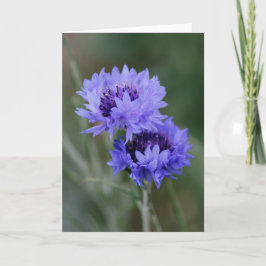 Blauwe hoekbloemen kaart