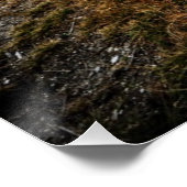 Blauwe hol perfect poster (Hoek)