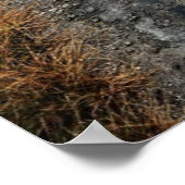 Blauwe hol poster (Hoek)