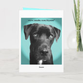 Blauwe hond kaart (Achterkant)