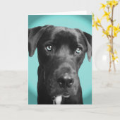 Blauwe hond kaart (Gele Bloem)