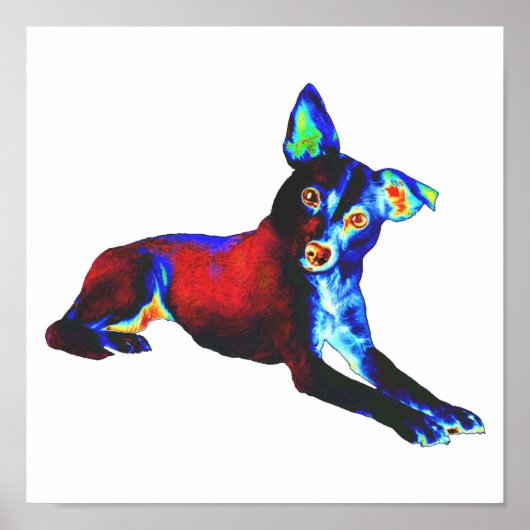 Blauwe hond poster (Voorkant)