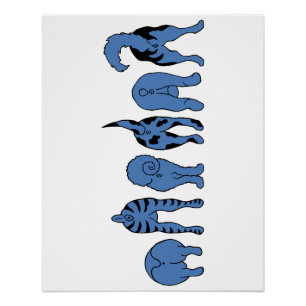 Blauwe hondenpeuken perfect poster