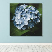 Blauwe Hortensia 8515 Ingepakt Canvas Afdruk (Insitu (Houten vloer))
