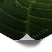 Blauwe Hortensia 8515 Print (Hoek)