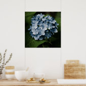 Blauwe Hortensia 8515 Print (Keuken)