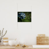 Blauwe Hortensia 8519 Print (Keuken)