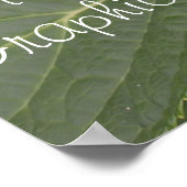 Blauwe Hortensia Bedrijfsnaam Details Poster (Hoek)