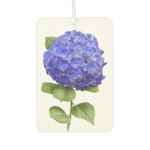 Blauwe Hortensia Bloem Botanische Kunst Design Luchtverfrisser