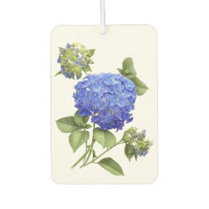 Blauwe Hortensia Bloem Botanische Kunst Design Luchtverfrisser