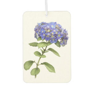 Blauwe Hortensia Bloem Botanische Kunst Design Luchtverfrisser