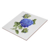 Blauwe Hortensia Bloem Botanische Kunst Tegeltje (Zijkant)