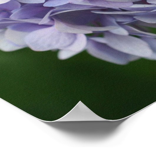 Blauwe Hortensia Bloemblaadjes Spiegel Abstract Poster (Hoek)