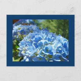 Blauwe Hortensia Bloemen ansichtkaarten Voeg Uw Te Briefkaart