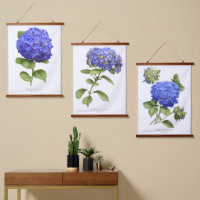 Blauwe Hortensia Bloemen Botanische Kunst Set van