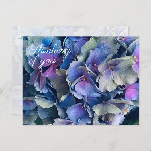 Blauwe Hortensia Bloemen Denk Aan Jou Postkaart (Voorkant / Achterkant)