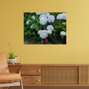 Blauwe Hortensia Bloemen in Zomer Tuin Poster