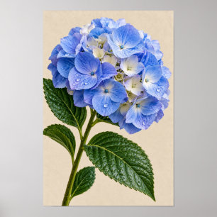 Blauwe Hortensia Bloemstuk Muurkunst Poster