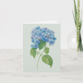 Blauwe Hortensia Botanische Kunstkaart — Lege kaar Kaart