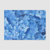 Blauwe Hortensia Echte Bloemen Tissuepapier (Voorkant)