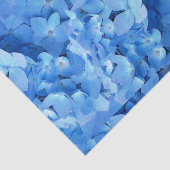 Blauwe Hortensia Echte Bloemen Tissuepapier (Detail)
