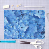 Blauwe Hortensia Echte Bloemen Tissuepapier (Craft)