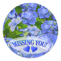 Blauwe hortensia en vlinders missen je