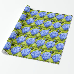 Blauwe hortensia floraal cadeaupapier