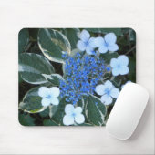 Blauwe hortensia met gevarieerde Muismat (Met muis)