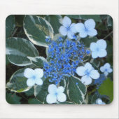 Blauwe hortensia met gevarieerde Muismat (Voorkant)