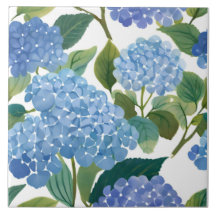 Blauwe hortensia | Mooie bloemen Struik
