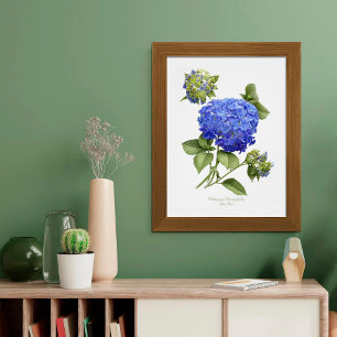 Blauwe Hortensia Originele Kunstprint Poster