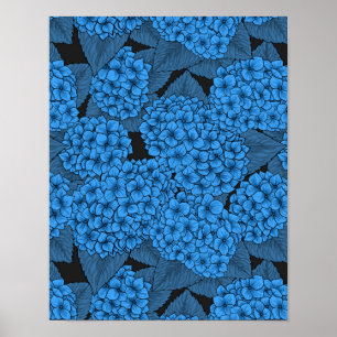 Blauwe hortensia poster